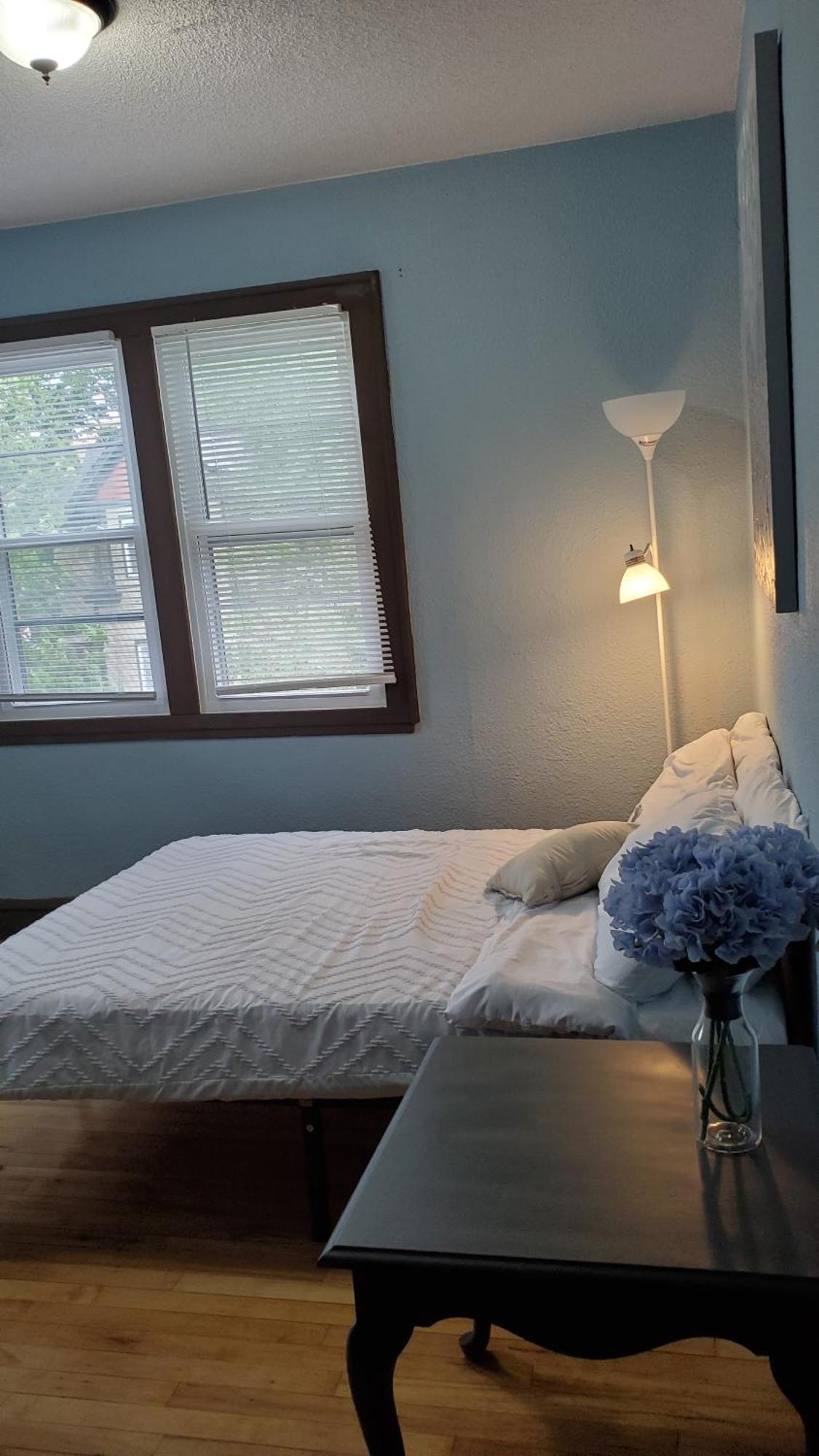 Ana Maria Del Azul Lägenhet Minneapolis Exteriör bild